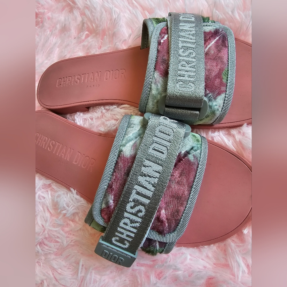 Dio(R)Evolution Slide - image 2